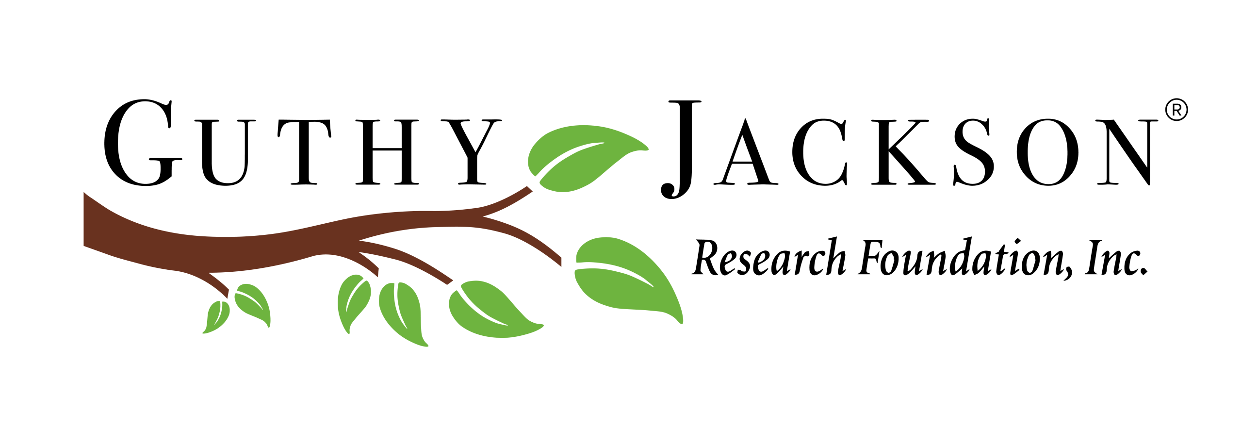 The Guthy-Jackson Charitable Foundation